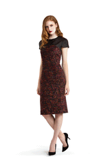 Sheer Yoke Cap Sleeve Dress